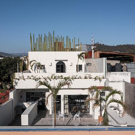 Casa Lumos - Minimalist Comfort Suites In Centro Historico Oaxaca Eksteriør bilde