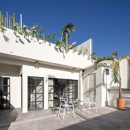 Casa Lumos - Minimalist Comfort Suites In Centro Historico Oaxaca Eksteriør bilde