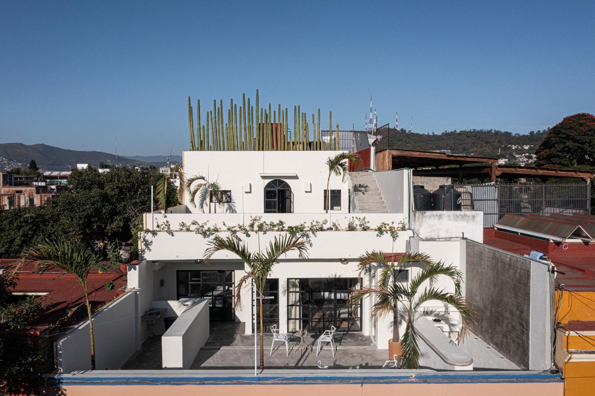 Casa Lumos - Minimalist Comfort Suites In Centro Historico Oaxaca Eksteriør bilde
