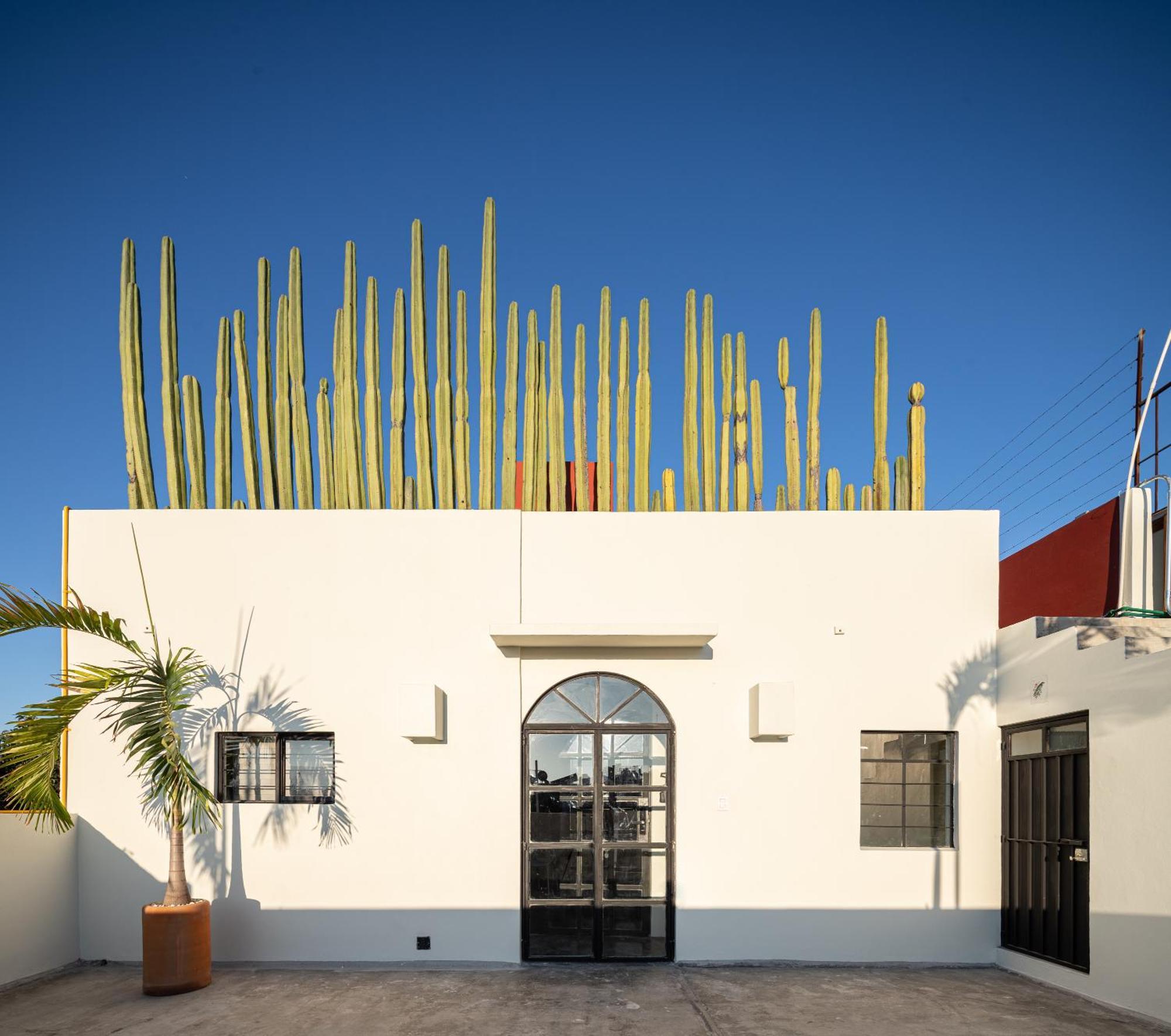 Casa Lumos - Minimalist Comfort Suites In Centro Historico Oaxaca Eksteriør bilde