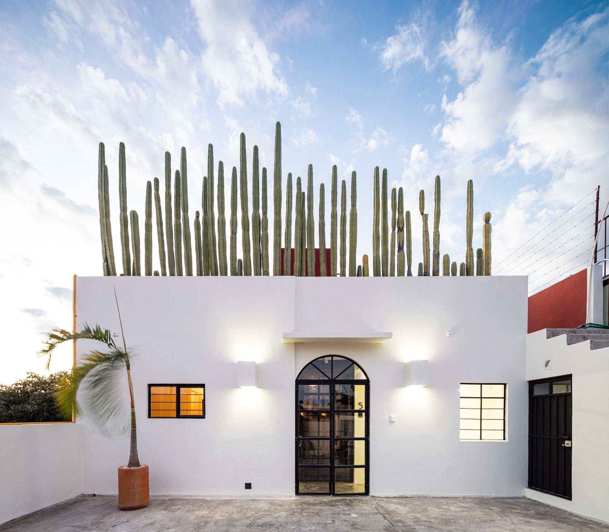Casa Lumos - Minimalist Comfort Suites In Centro Historico Oaxaca Eksteriør bilde