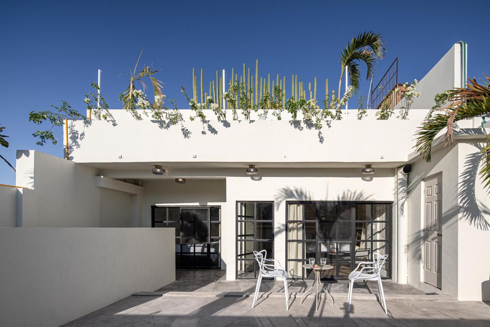 Casa Lumos - Minimalist Comfort Suites In Centro Historico Oaxaca Eksteriør bilde
