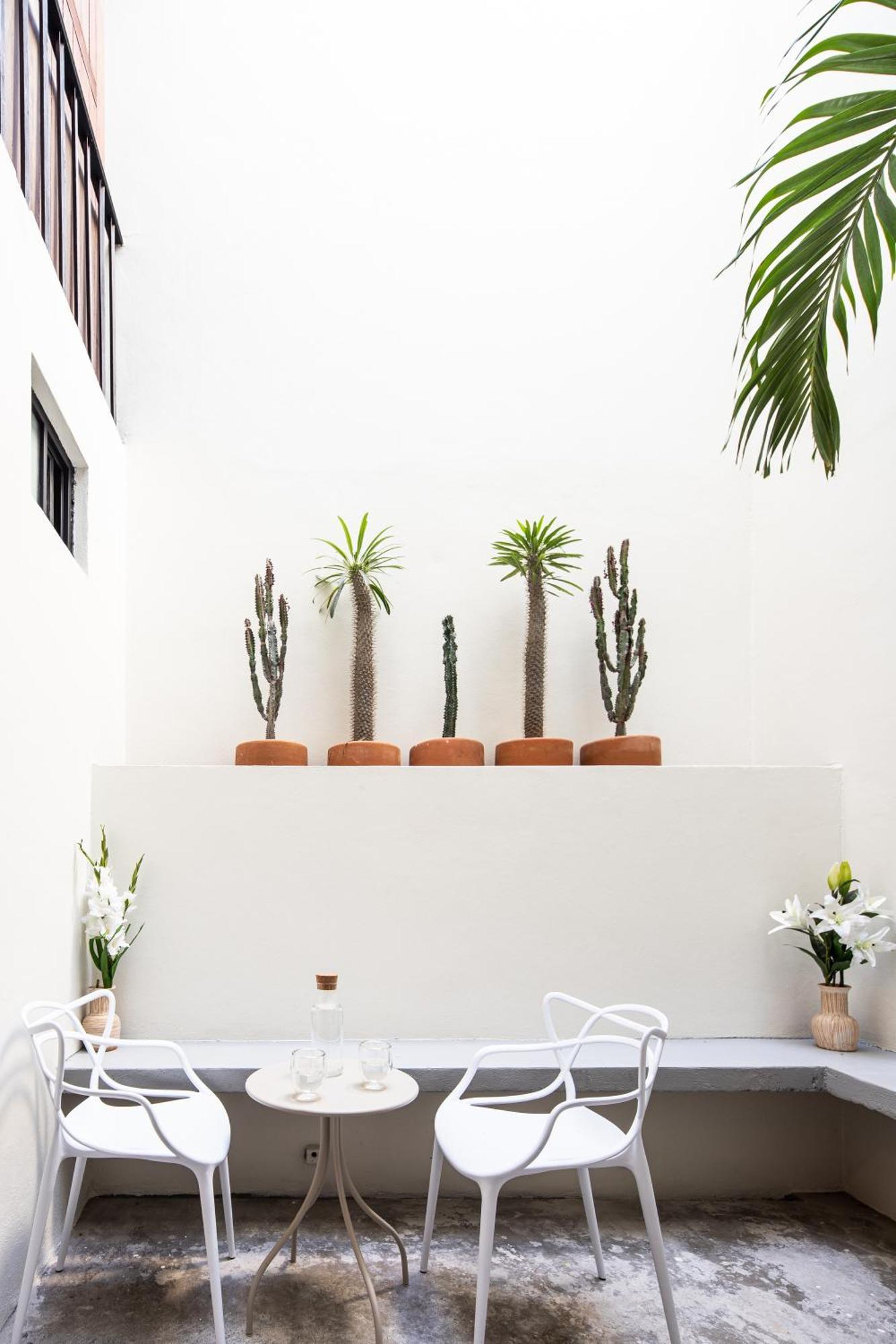 Casa Lumos - Minimalist Comfort Suites In Centro Historico Oaxaca Eksteriør bilde